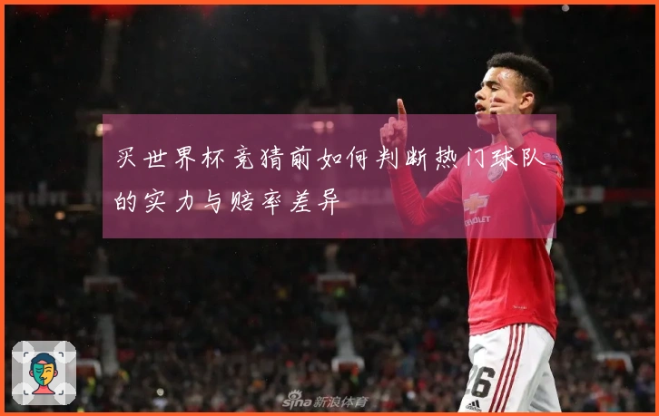 买世界杯竞猜前如何判断热门球队的实力与赔率差异