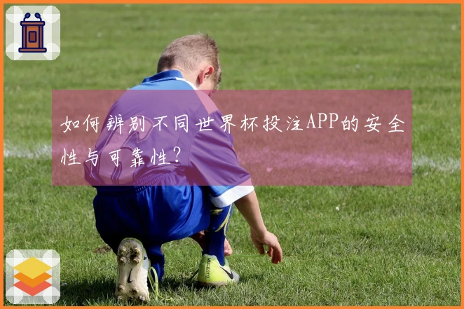 如何辨别不同世界杯投注APP的安全性与可靠性？