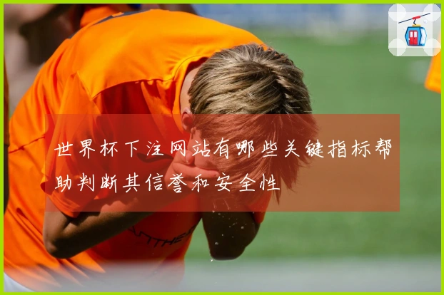 世界杯下注网站有哪些关键指标帮助判断其信誉和安全性