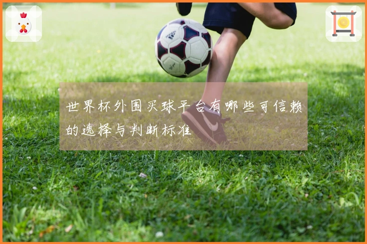 世界杯外围买球平台有哪些可信赖的选择与判断标准